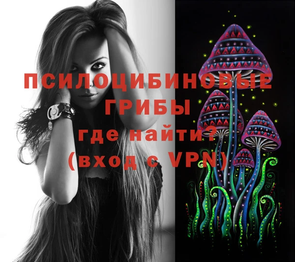 стафф Алзамай