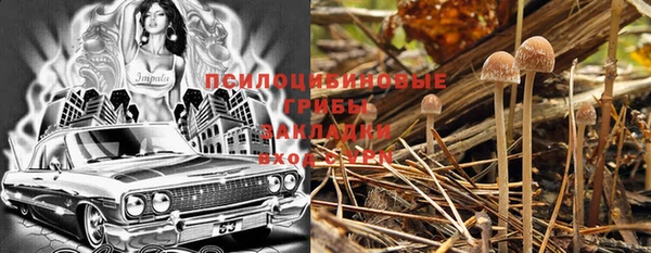 гашик Абаза