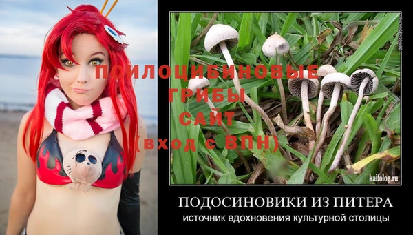 стафф Алзамай