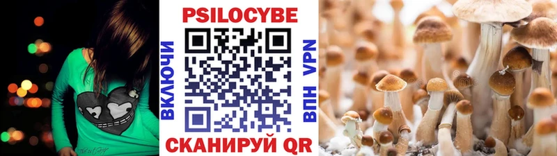 наркошоп  OMG рабочий сайт  Галлюциногенные грибы Psilocybine cubensis  Кирс 
