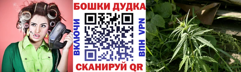 Бошки Шишки MAZAR Кирс